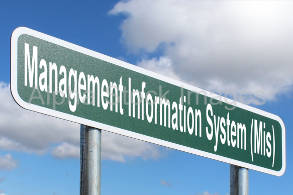 Management Information System (Mis)
