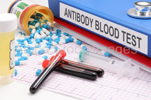 antibody blood test