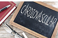 cardiovascular 1