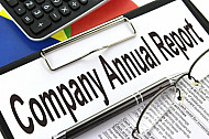 Company Annual Report