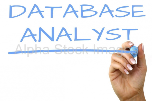 database analyst