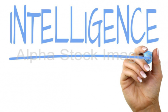 intelligence