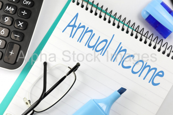 annual income