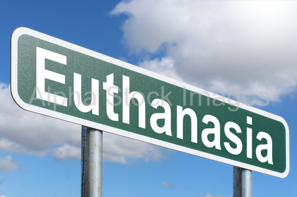 Euthanasia