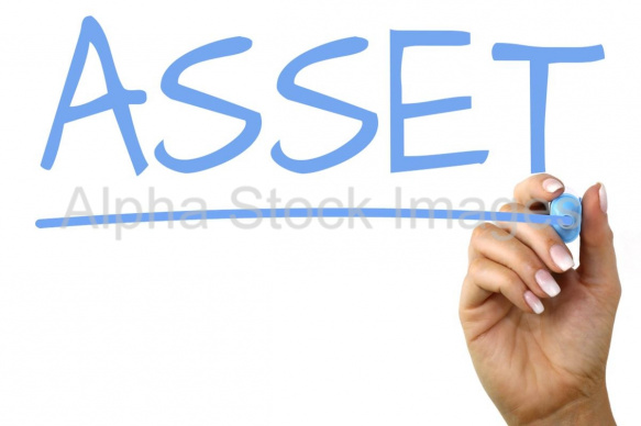 asset