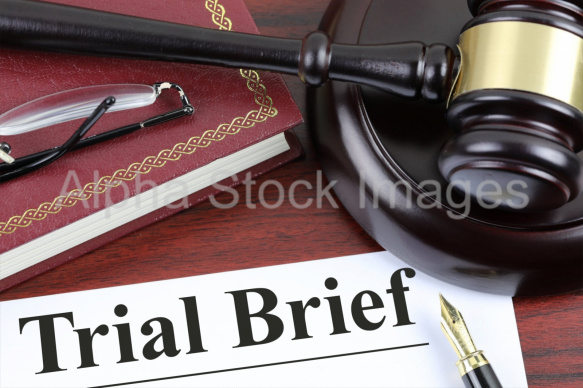 trial brief