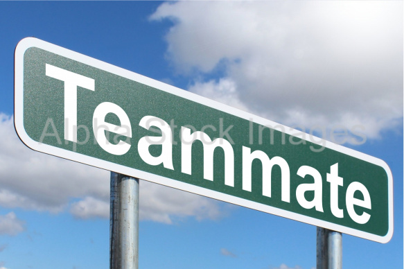 Teammate