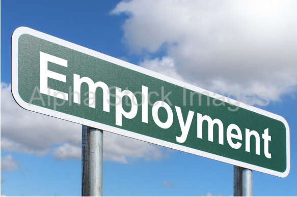 Employment