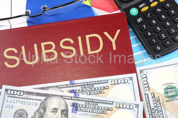 subsidy