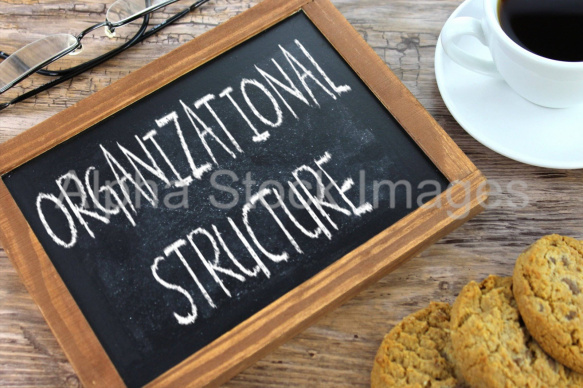 organizational structure