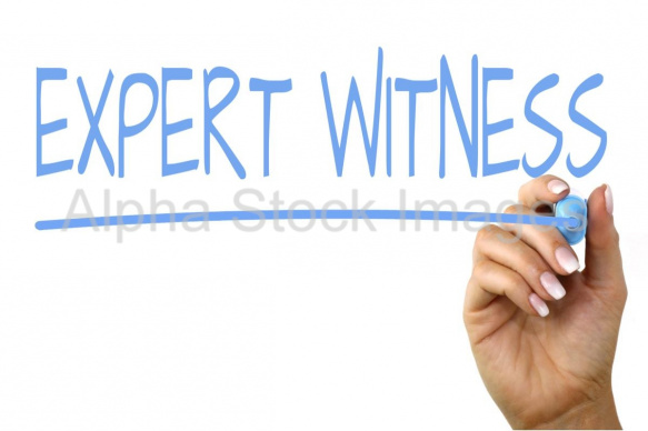 expert witness