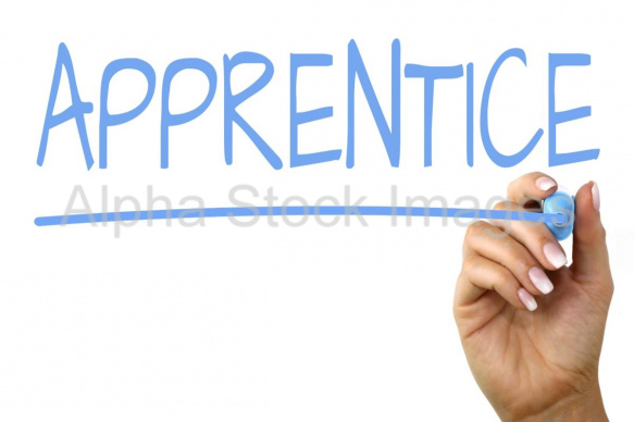 apprentice