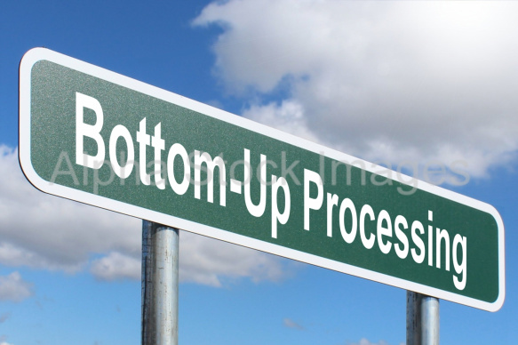 Bottom-Up Processing