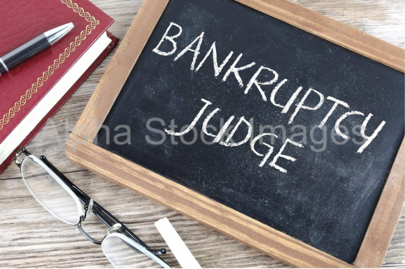 bankruptcy judge