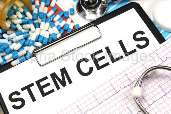 stem cells