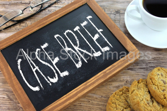 case brief