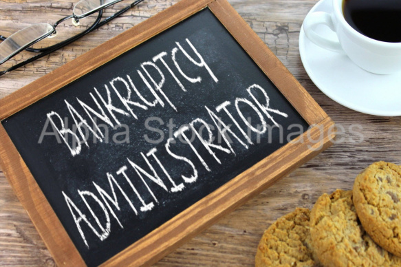 bankruptcy administrator