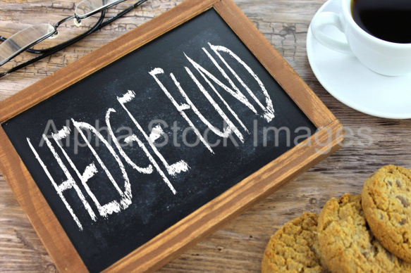 hedge fund