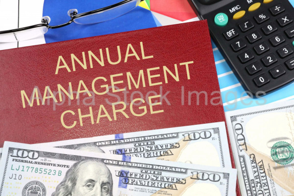 annual management charge