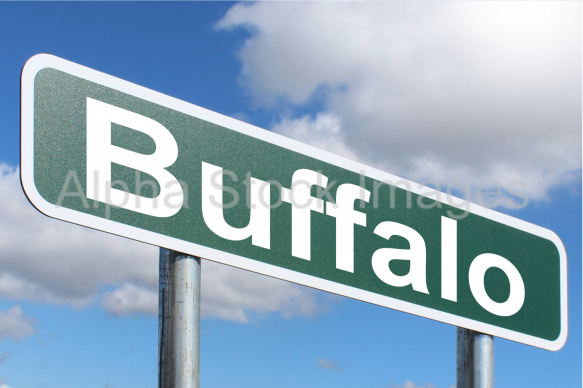 Buffalo