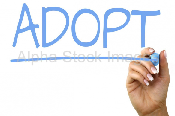 adopt