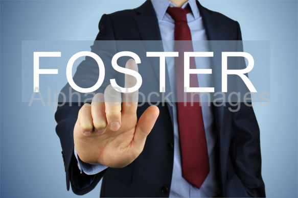 foster