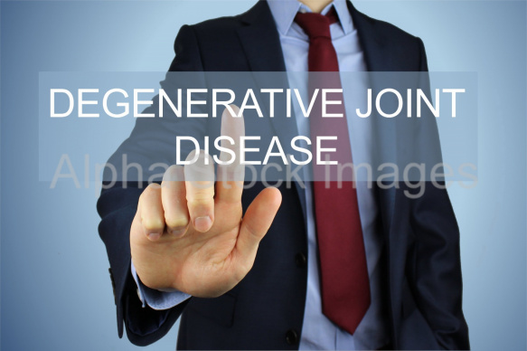 degenerative joint disease