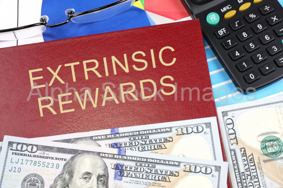 extrinsic rewards