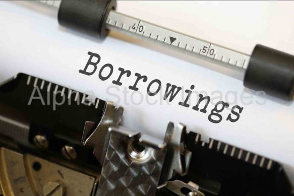 Borrowings
