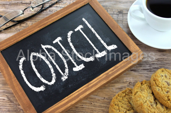 codicil