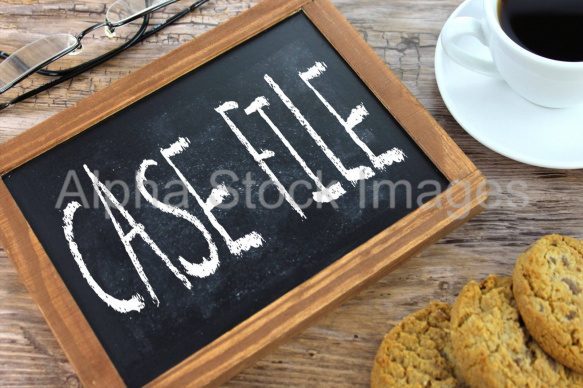 case file