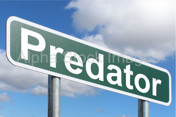 Predator