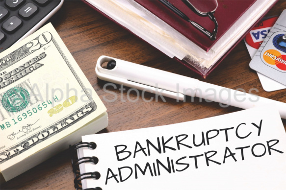 bankruptcy administrator