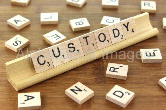 Custody