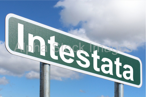 Intestata