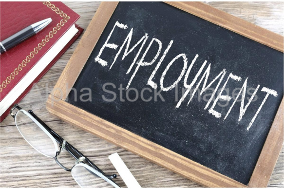 employment