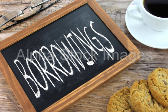 borrowings