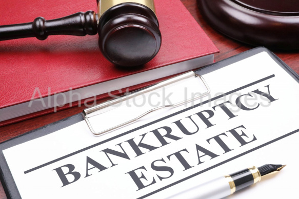 bankruptcy estate