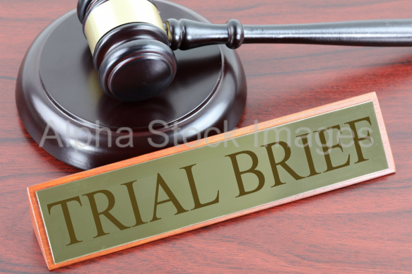 Trial Brief