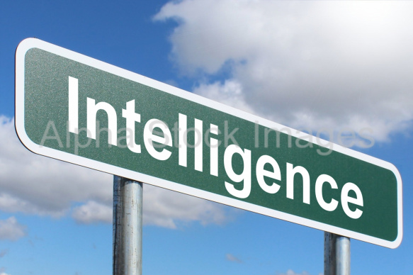 Intelligence