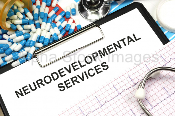 neurodevelopmental services