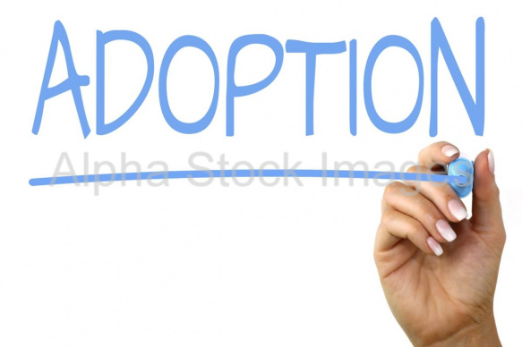 adoption