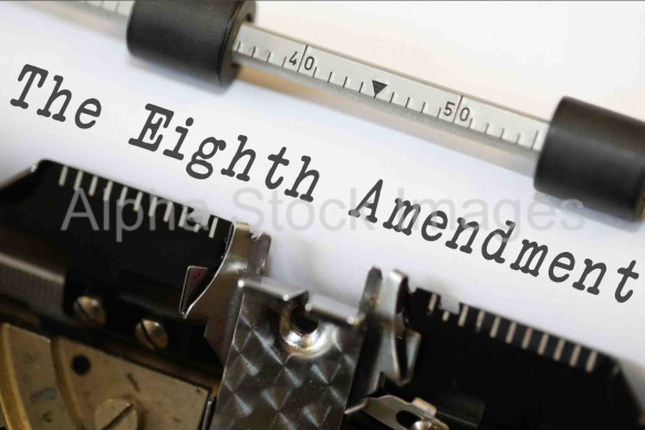 The Eighth Amendment