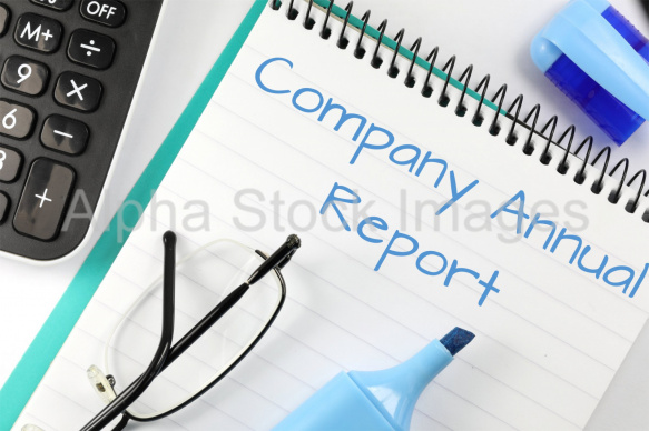 company annual report