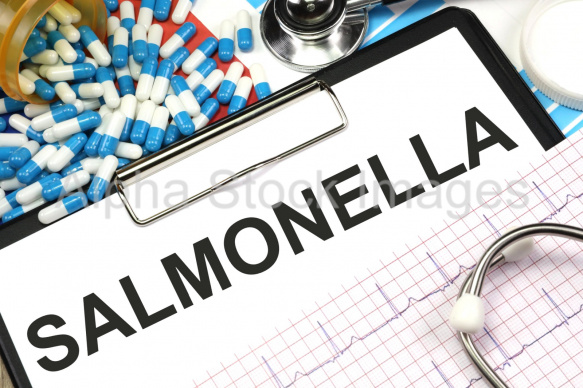 salmonella