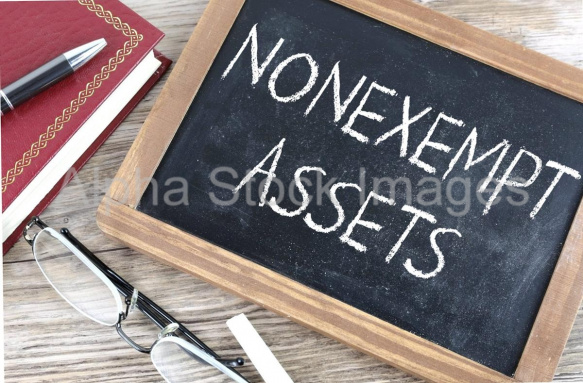 nonexempt assets