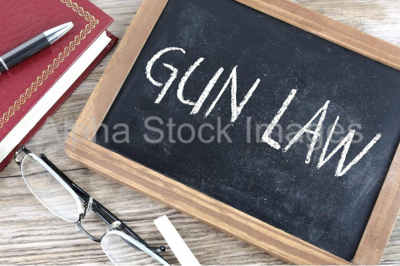 gun law