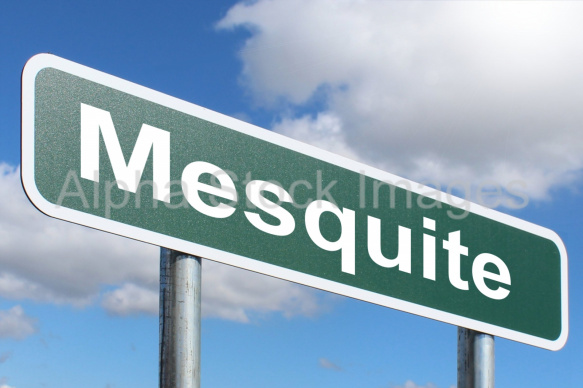 Mesquite