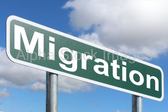 Migration