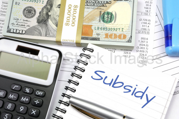 subsidy